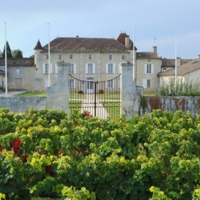Château Grand Mayne