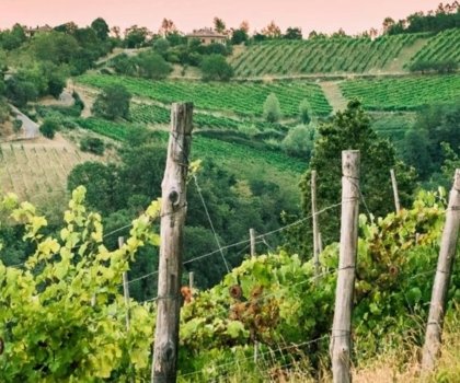 romagna varignana palazzo